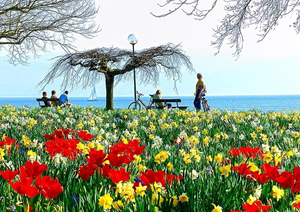 Hotel Am Rehberg Lindau  Zewnętrze zdjęcie